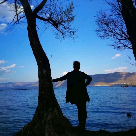 巴州房产信息咨询朱姐