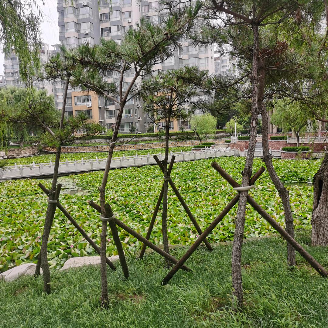 随缘不变