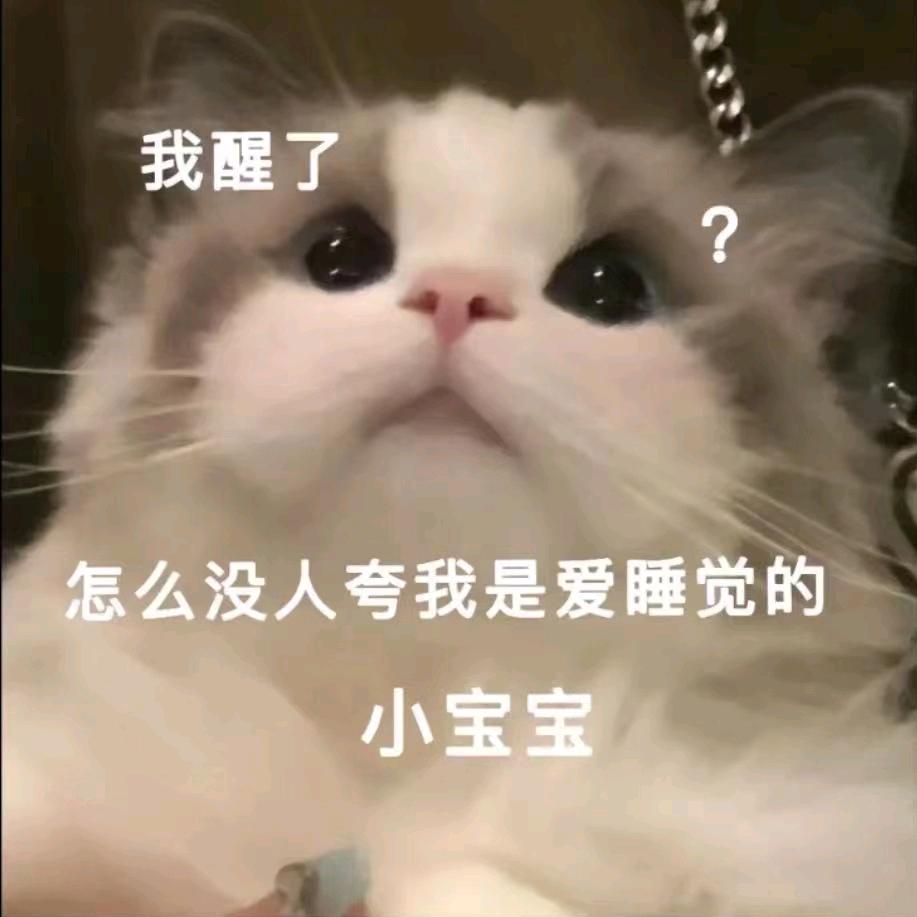 小维西头像