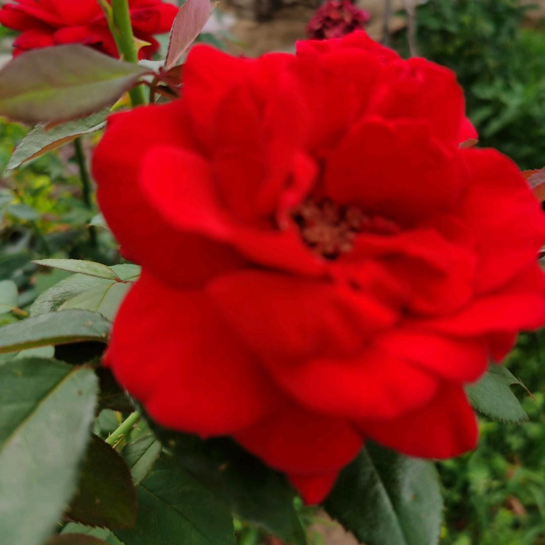 宋朝书生谈古论今