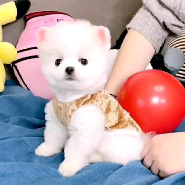 韩韩美妆清仓号