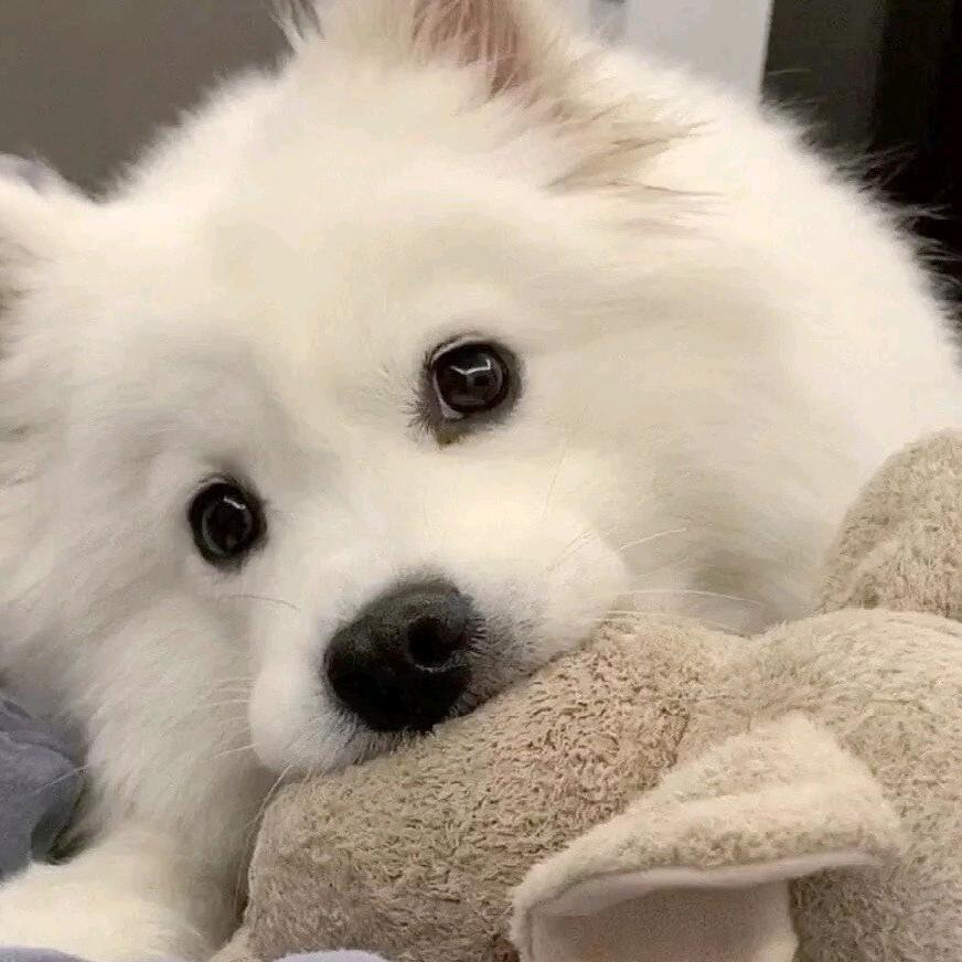 Tryving to do better