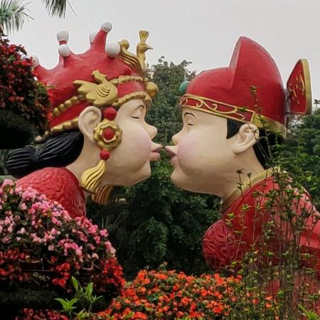 强哥旅记