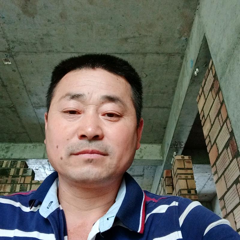 杨毛元
