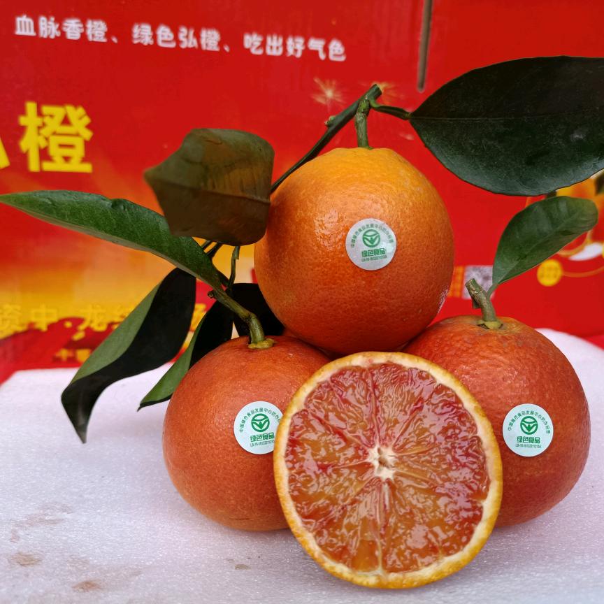 资中县弘橙种植家庭农场