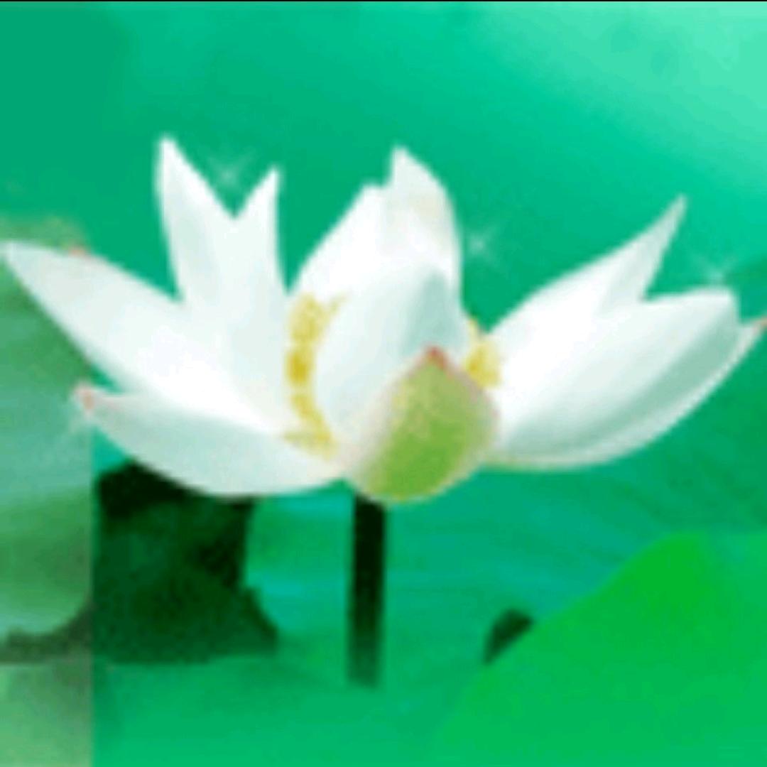 涛声依旧