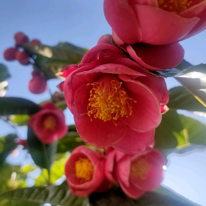 天地至理
