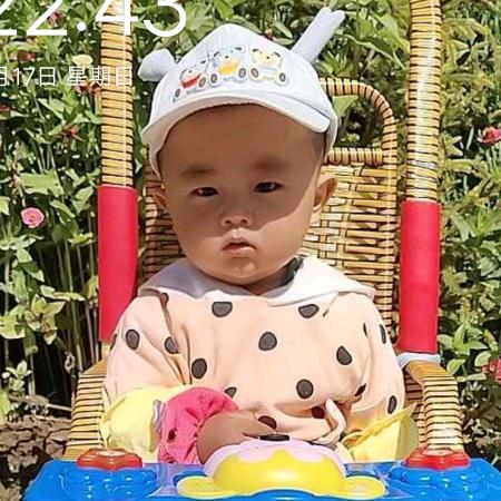 抱着大树唱征服