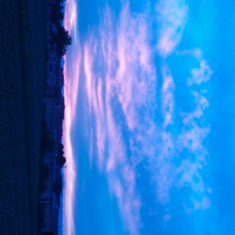 小熊维尼与跳跳虎