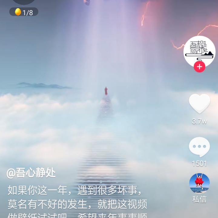 棒棒的