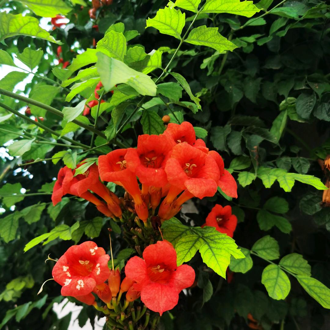 @幸福的味道🍀