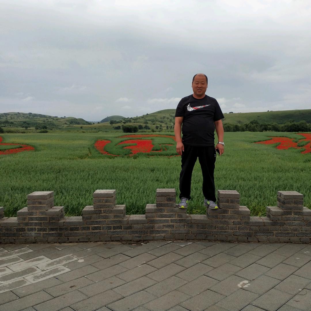 吴桥，张家盐焗鸡