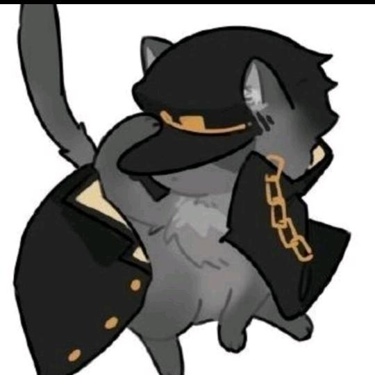 猫某caster