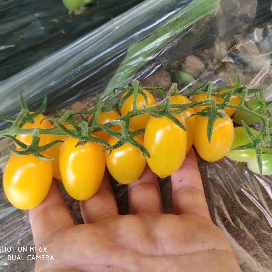 A诚信天下，知足常乐