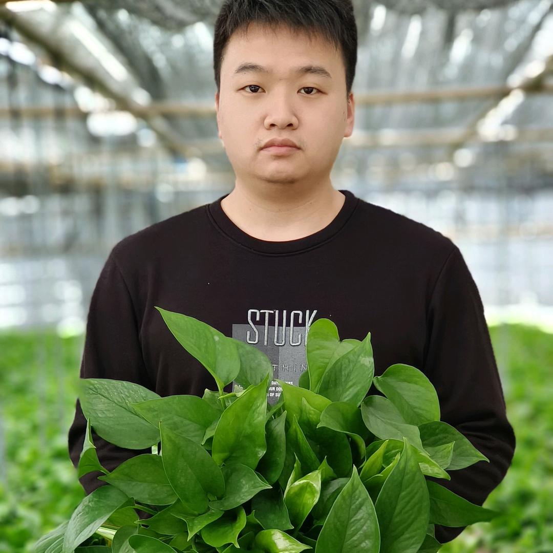 鑫泽绿植园艺