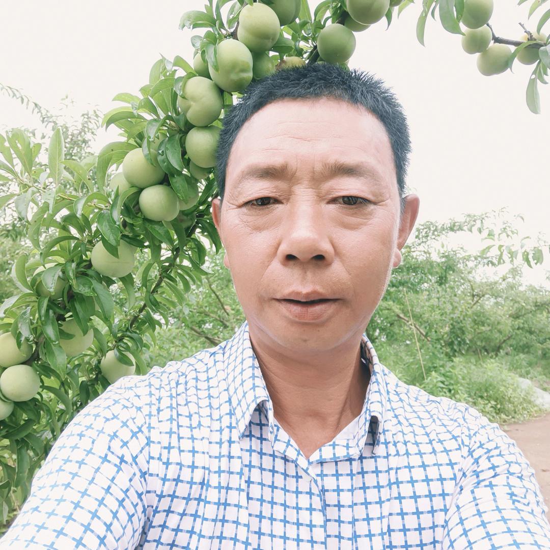 重庆市垫江县蜂糖李种植专业合作社