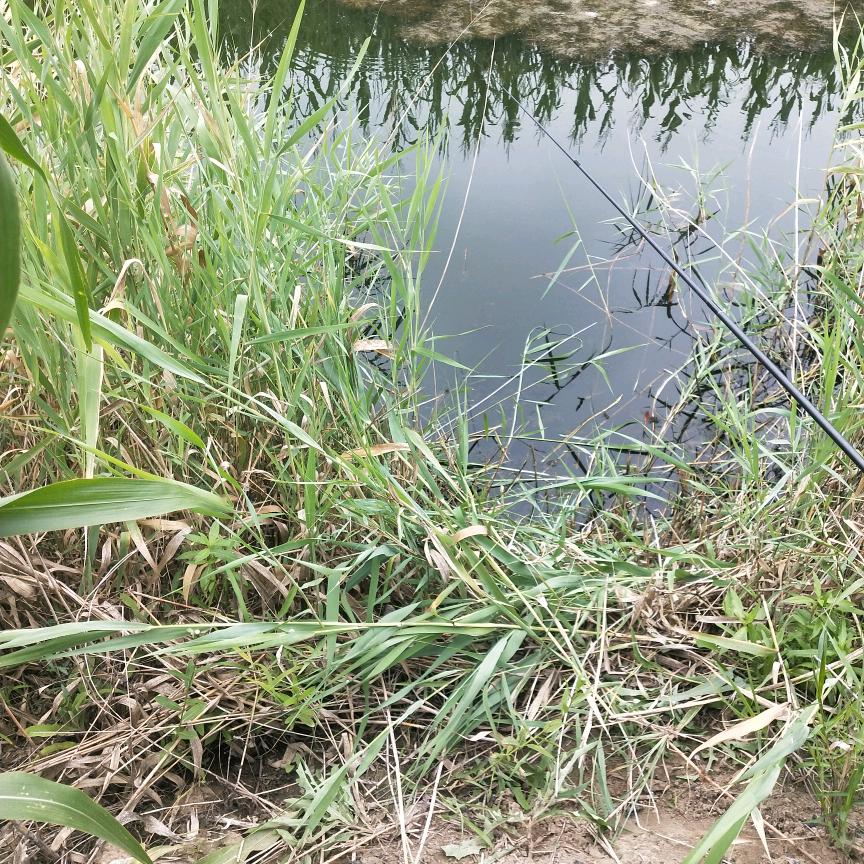 🌈爱抖音，爱钓鱼🎣，简单快乐生活🌈