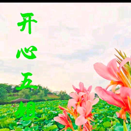 晓蓉姐