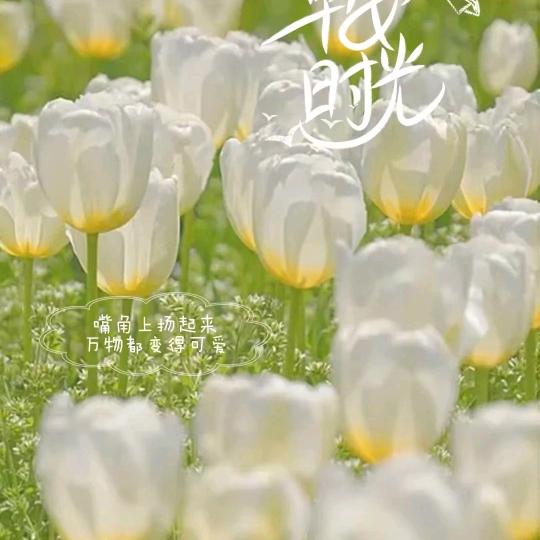 闲逛抖音☂