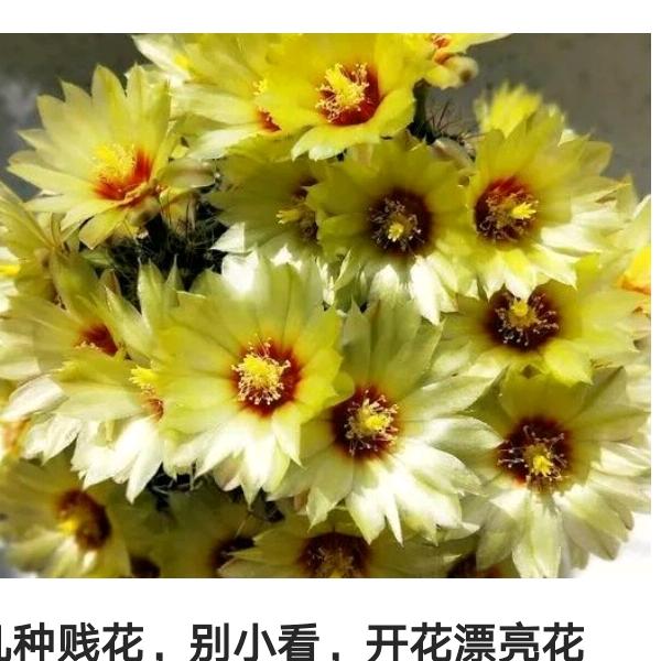 你在干嘛啊