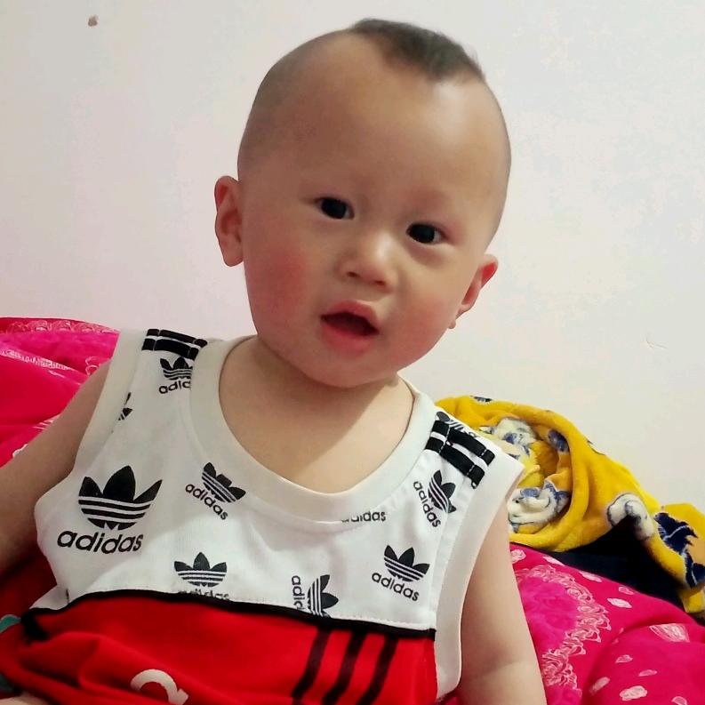 梅子.