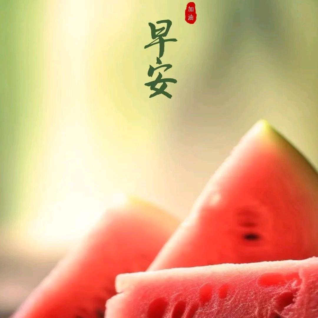🦋এ᭄萧洒 壹生💔ོ࿐