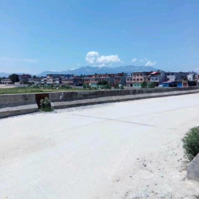 相信中医的力量