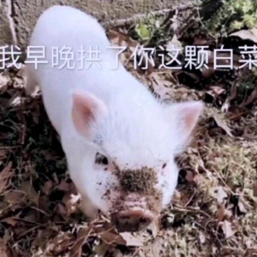 贫僧劫色