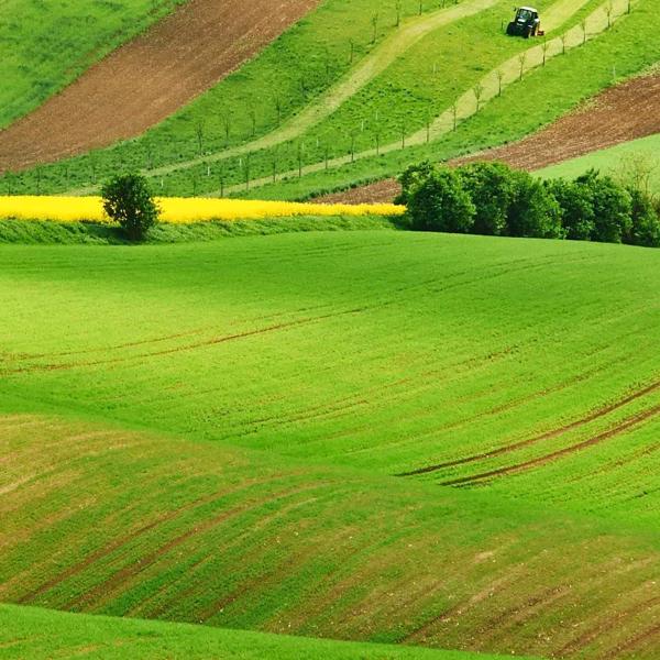 🌈🌈嘻嘻向日葵🌈🌈