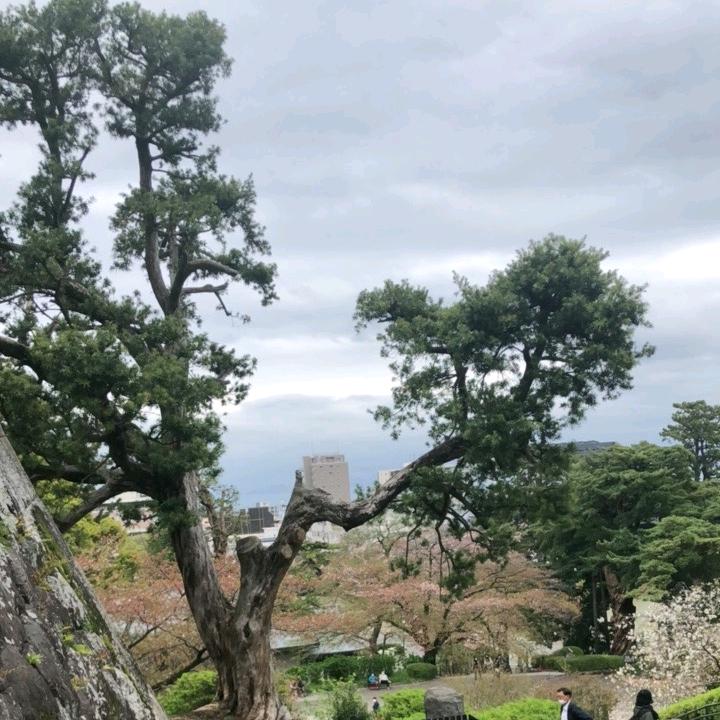 躺聊