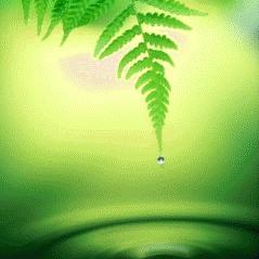 一片清新