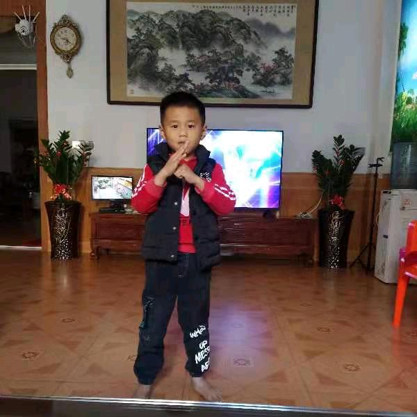 心慧336