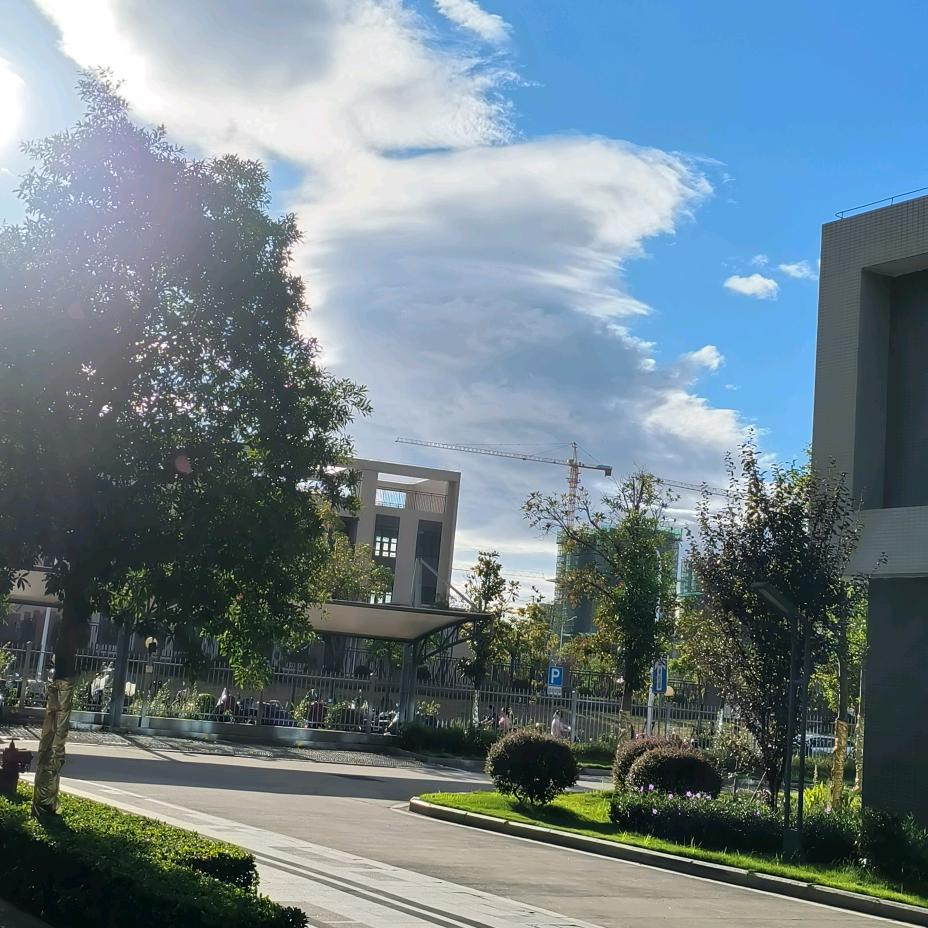 “石”在是妙啊