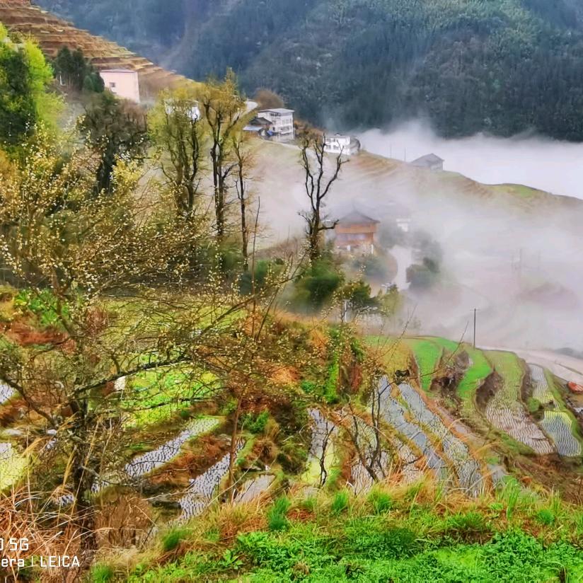 丫丫anlizhengpin59