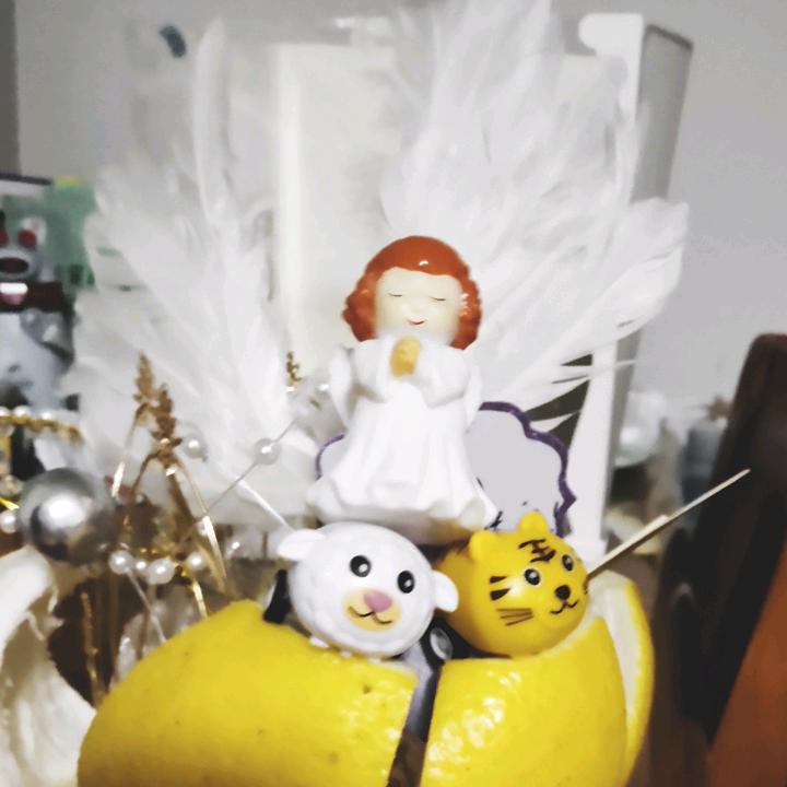 六六姐说