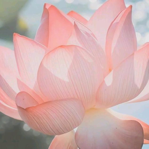 紫气 东来