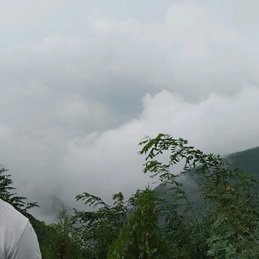 马治育