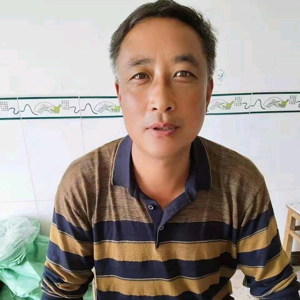 出售小鸡，小鸭，小鹅。