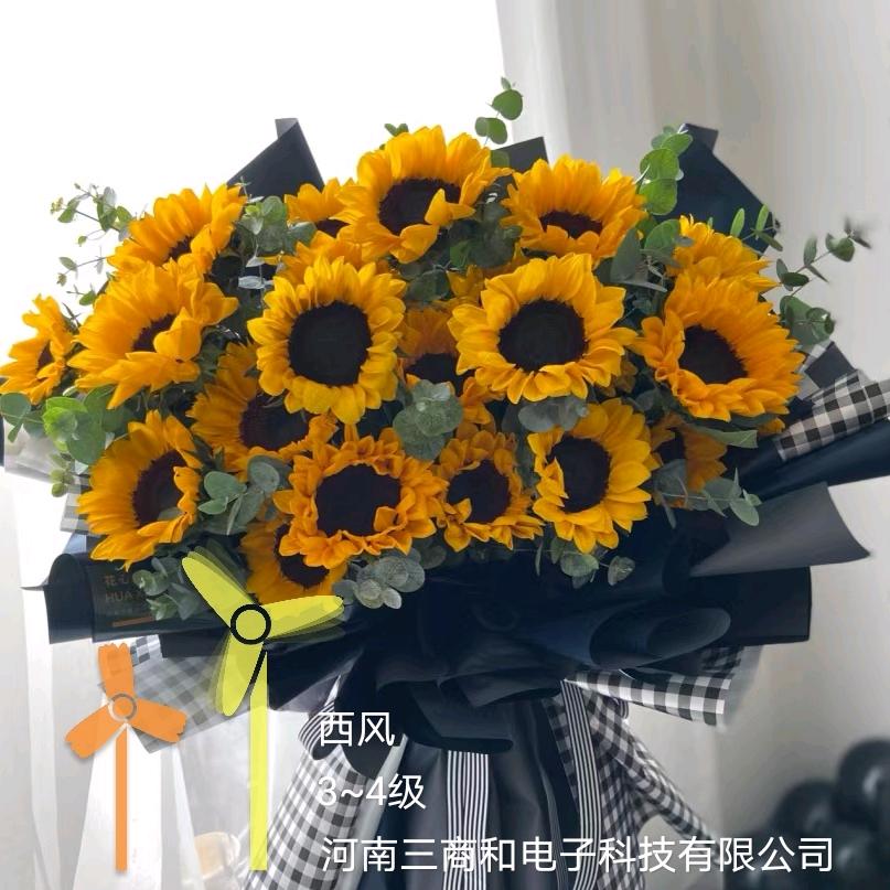 河南三商和电子科技有限公司