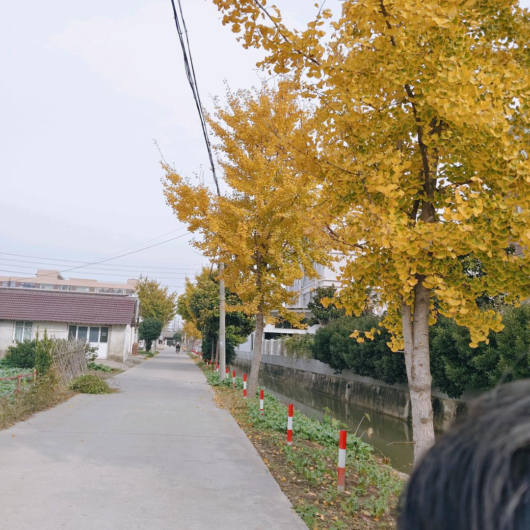 农村姐19:20开播