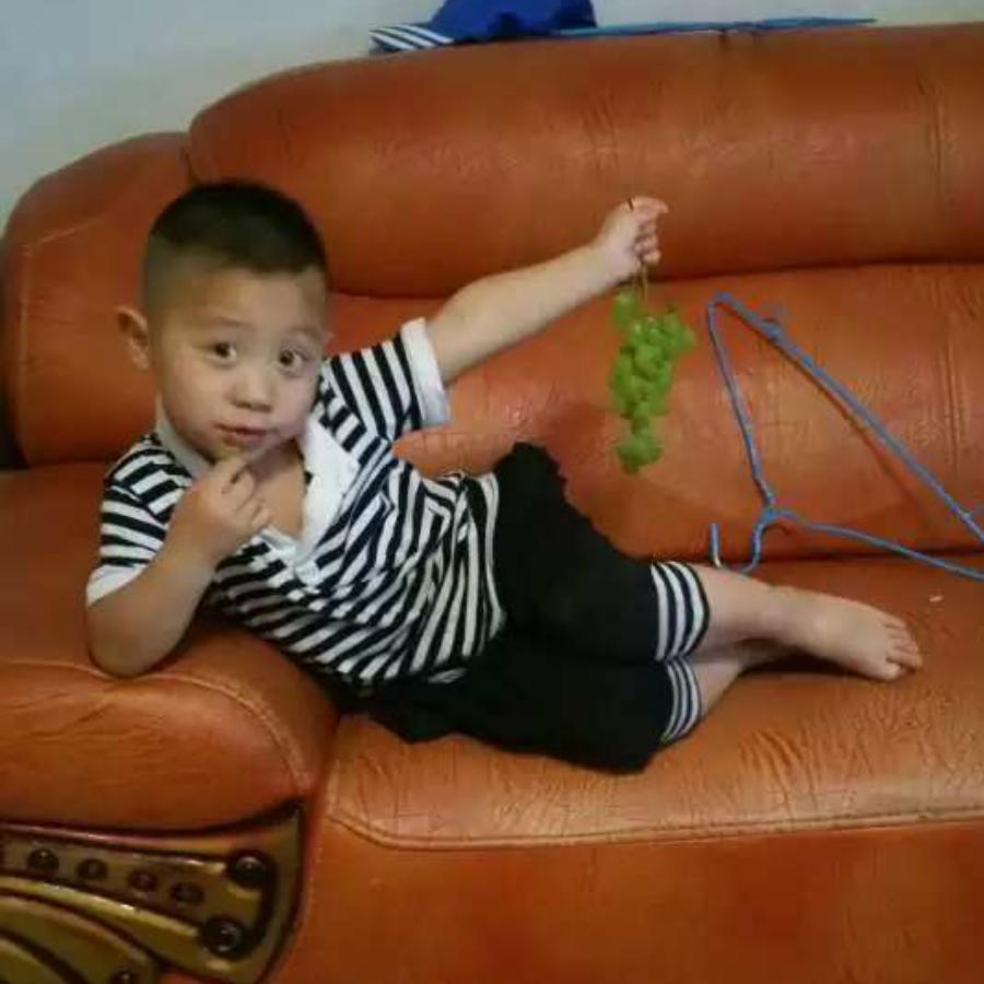 宝哥，大件运输