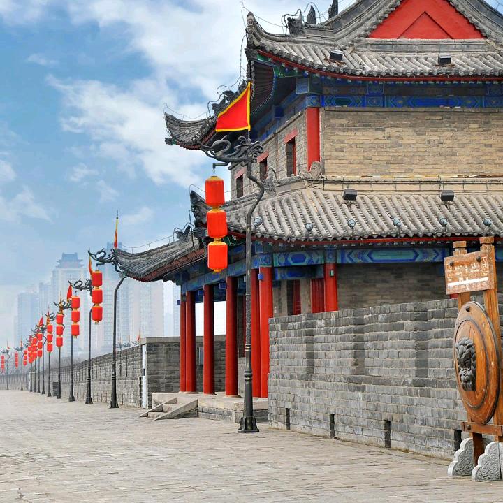 见鹿见鲸