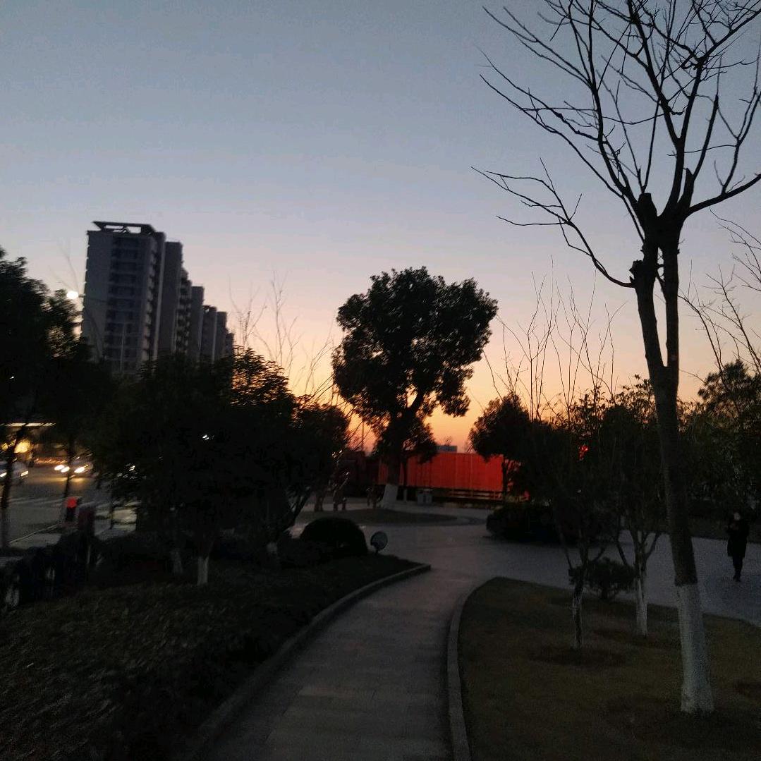 用户5647495276342