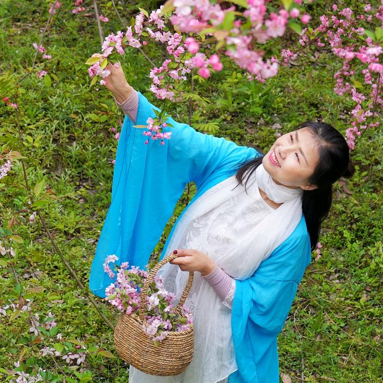 会跳舞的狐狸