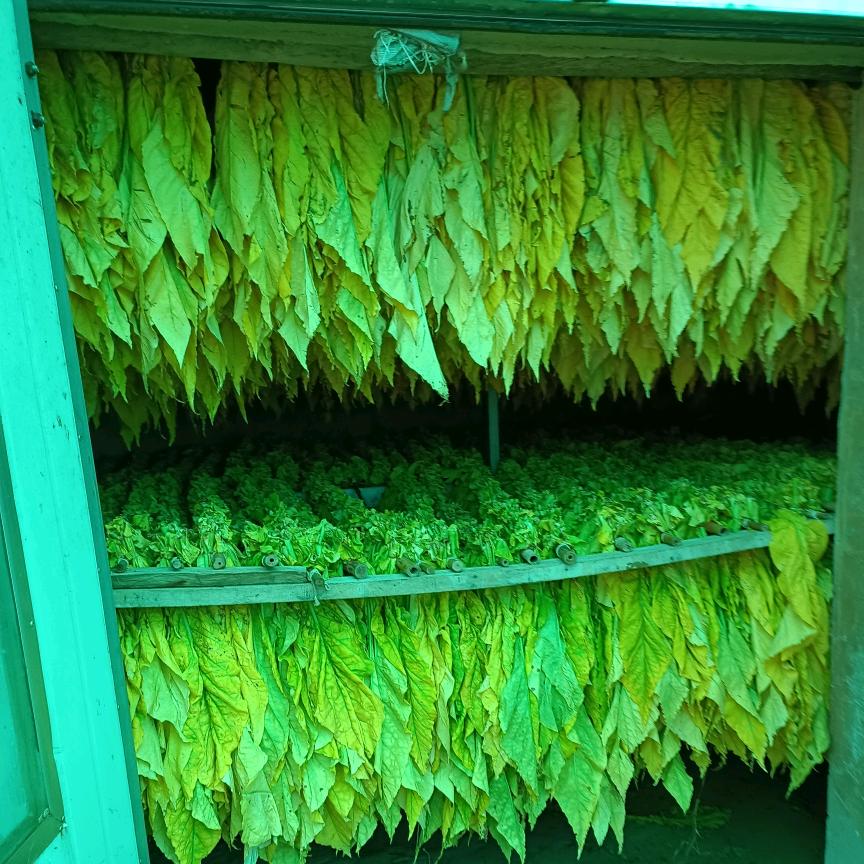 拨开乌云见太阳