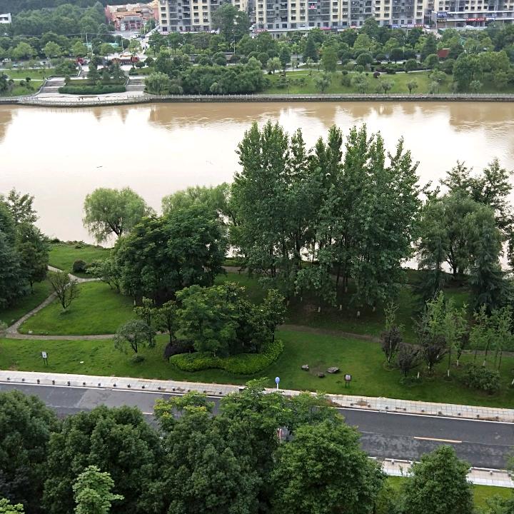 朱丽