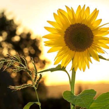 巩义市长城海绵电线设备厂