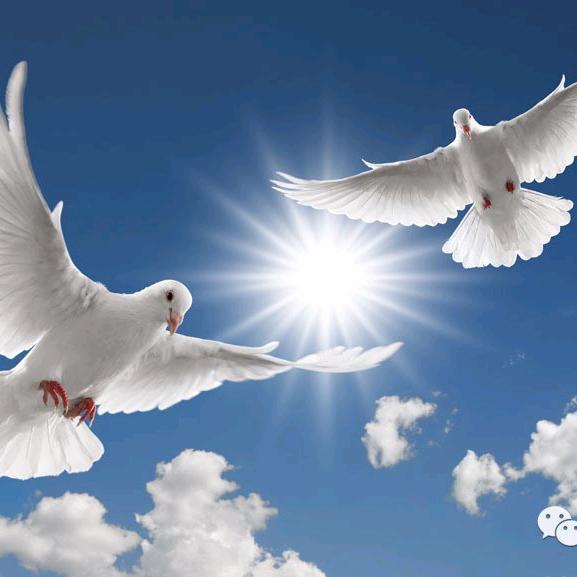 哥💪是💁农⛑村🧙人