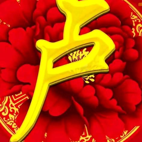 塔城市专业水电卢
