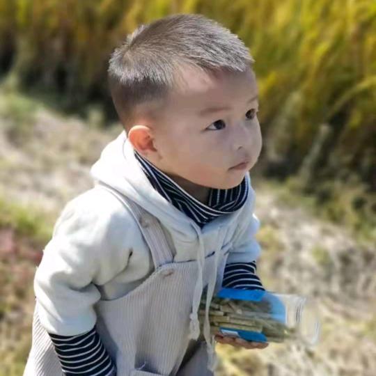 大坦克
